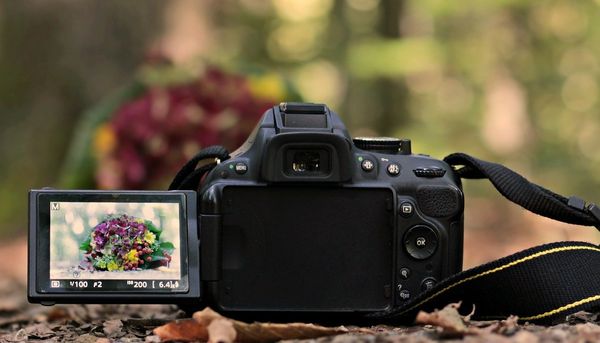 Aparat fotograficzny – jaki sprzęt na dobry start?