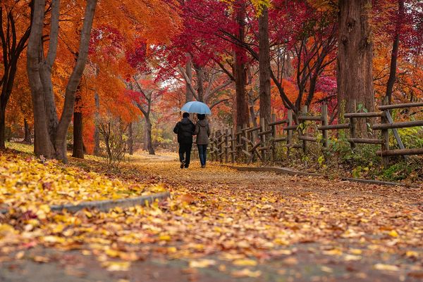 Fotografowanie jesienią – dlaczego warto?